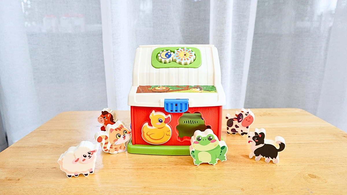 Play Set #9: 19 - 21 months