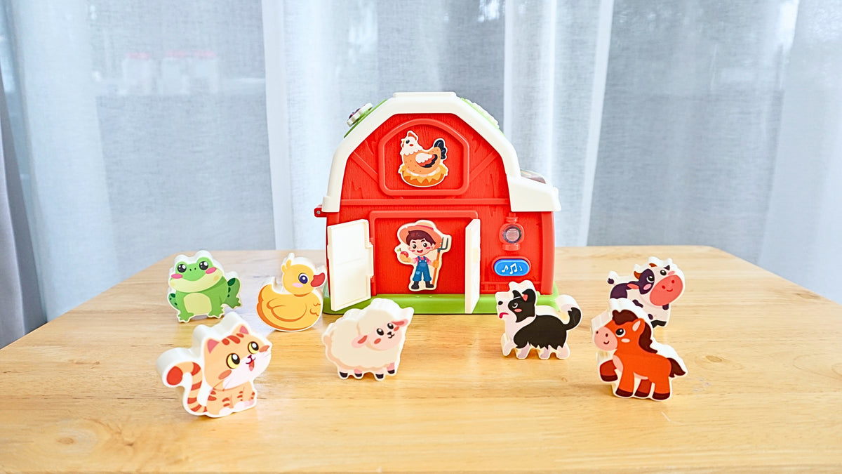 Play Set #9: 19 - 21 months