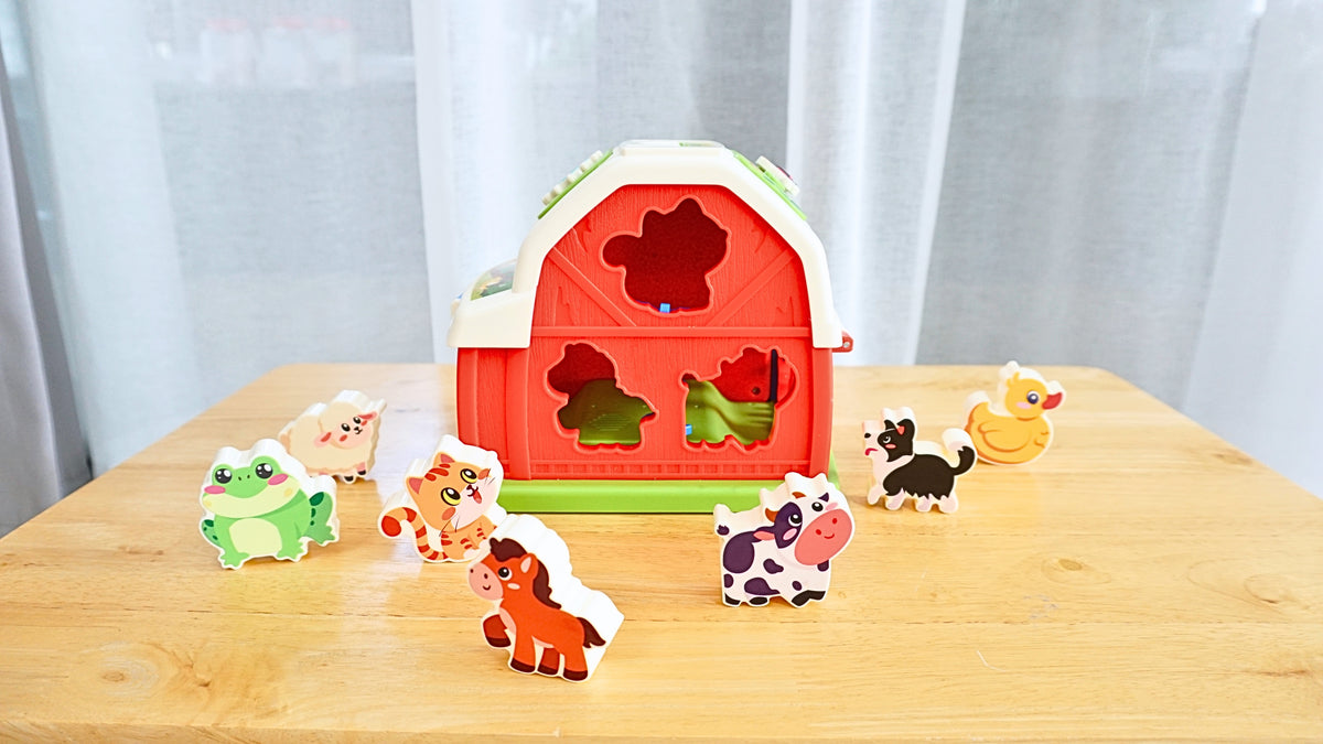 Play Set #9: 19 - 21 months