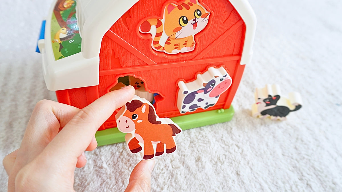 Play Set #9: 19 - 21 months