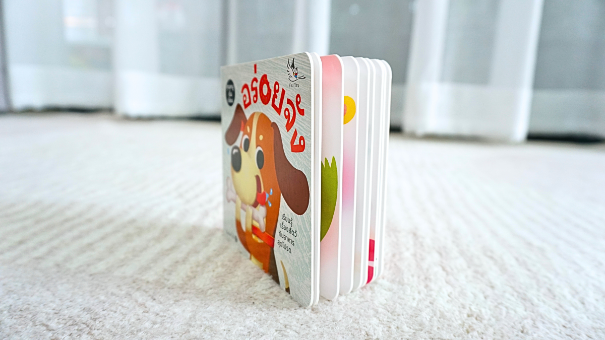 Play Set #5: 9 - 10 months