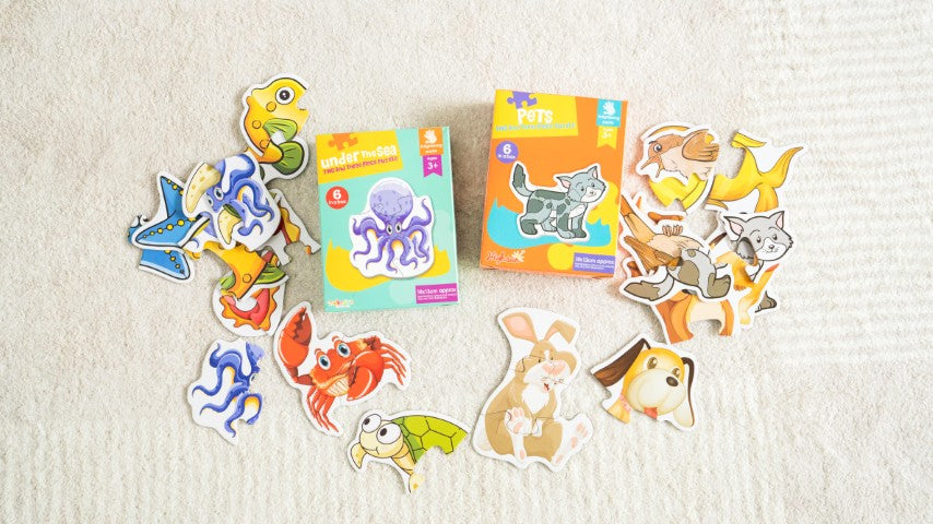 Play Set #9: 19 - 21 months