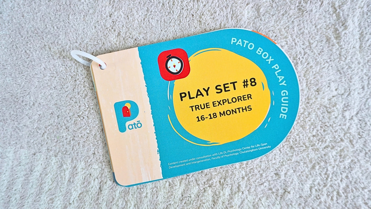 Play Set #8: 16 - 18 months