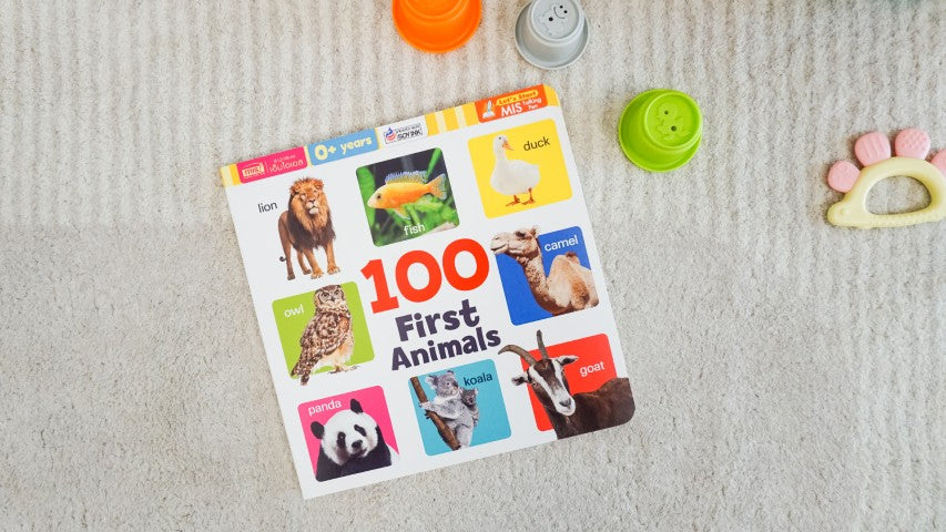 Play Set #3: 5 - 6 months