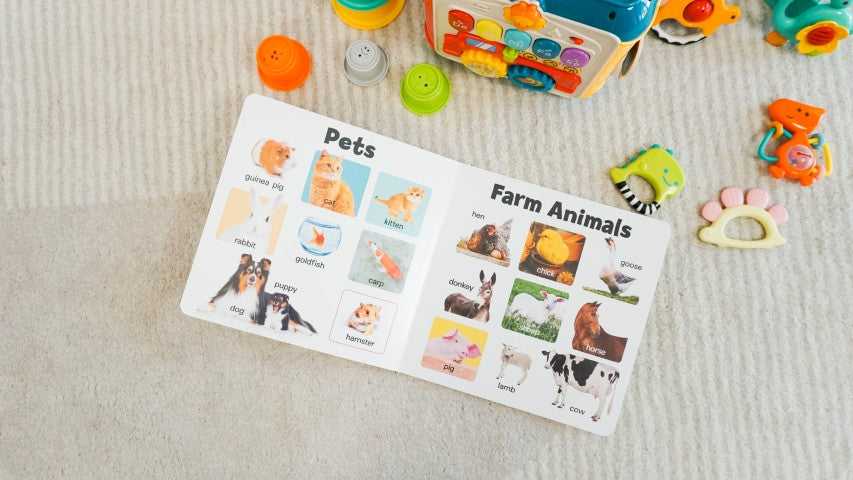 Play Set #3: 5 - 6 months