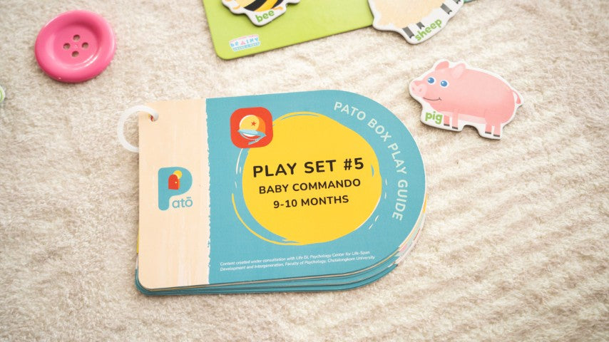 Play Set #5: 9 - 10 months