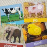 การ์ดคำศัพท์ สัตว์ แบบ touch & feel